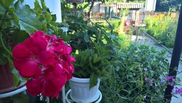 Фотографии Гостевой дом Nenkovi Guest house г. Трявна (Болгария) №3 Фото Гостевой дом Nenkovi Guest house г. Трявна 3